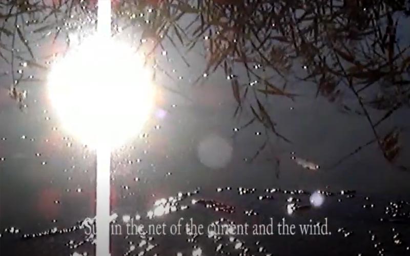 The Sun in the Net (English subtitle)
